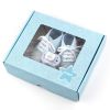 Welcome Mint Eyelashes Personalized Box